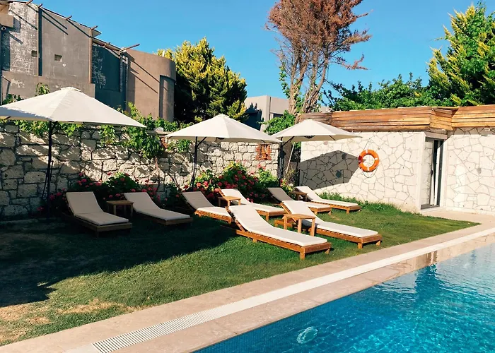 Limon Hotel