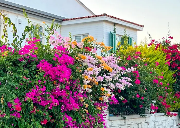 Alacati Xl Luxury Hotel